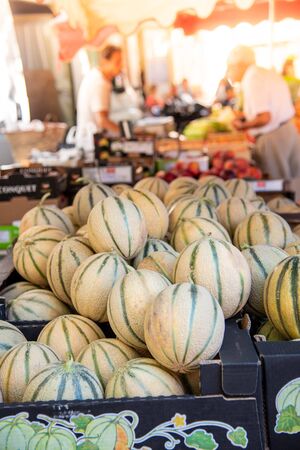 Melons on a market, summer, Franceの写真素材