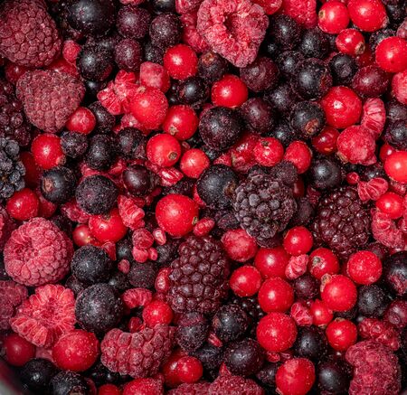 Assortment of frozen red fruitsの写真素材