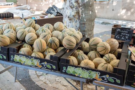 Melons on a market, summer, Franceの写真素材