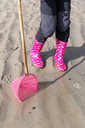 Little girl on a beach with a netの写真素材