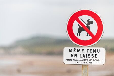 Dog prohibition sign on a beach in Franceの写真素材