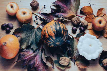 Autumn theme: vegetables and fall colorsの写真素材