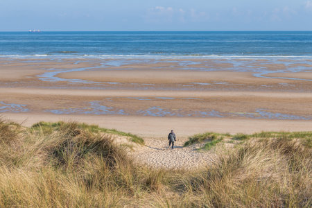 Elderly person walking on a beachの写真素材