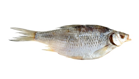 Dried fish isolated on white backgroundの写真素材