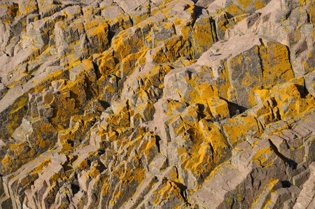 Weathered rock for background or texture