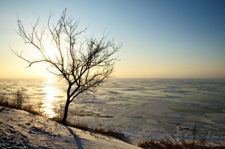 Winter landscape on sunriseの写真素材