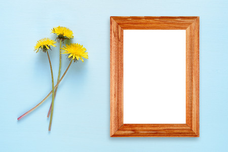 Dandelion flowers and photo frame on turquoise backgroundの写真素材