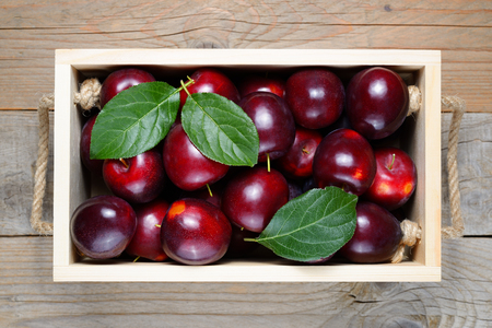 Plums in wooden box close-upの写真素材