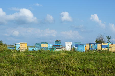Wooden beehives on summer meadowの写真素材
