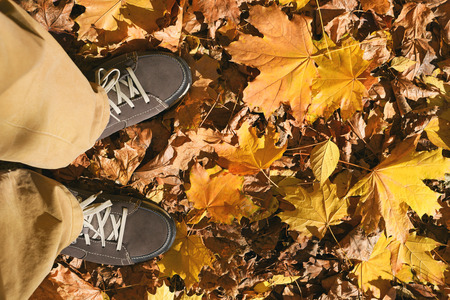 Male standing on autumn leaves in leather suede shoes top viewの写真素材