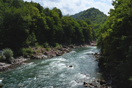 Mountain river in forestの写真素材