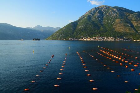 Mussel farm in Bay of Kotor near town Perast, Montenegro
