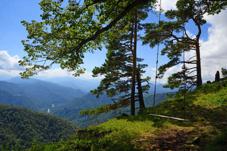 Rope swing in mountain forest