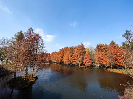 Autumn landscape with lake and colorful forest, closeup of photoの写真素材