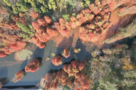 Aerial view of autumn forest and river in Hangzhou, Chinaの写真素材