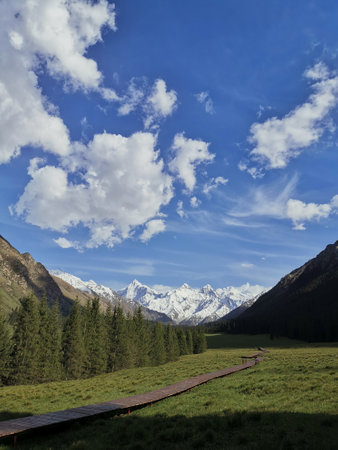 Mountain landscape with wooden path, green meadow and blue skyの写真素材