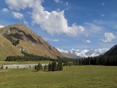 Tien Shan mountains, Kyrgyzstan, Dzhuku Valleyの写真素材