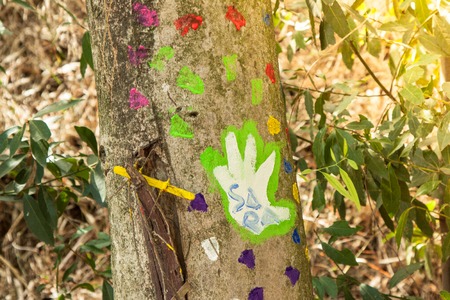 Hand marks made by kids with colorful paint and names written on trees outdoor in park during summer...