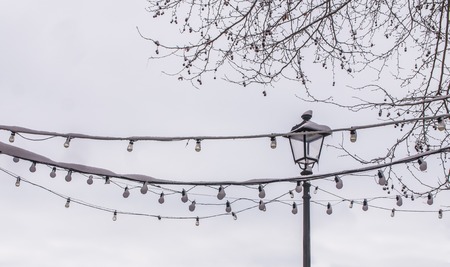 Typical Italian lantern streetlamp with snow on white cloudy sky in a town near Rome, Frascatiの写真素材