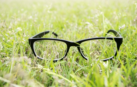 Greenery glassesの写真素材