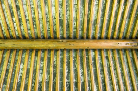 Roof beams in attic spaceの写真素材
