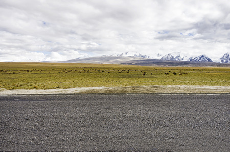 Urban landscape roadの写真素材