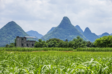 Landscape with agricultural land.のeditorial素材