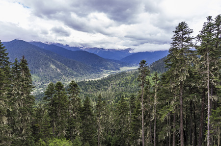Outdoor natural scenery