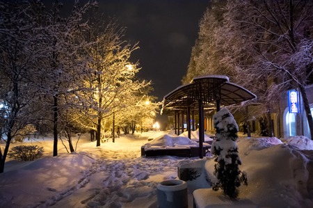 Avenues of the city Donetsk at winter night. Night. Avenue. Street lamp. A drugstore... A. Blokの写真素材