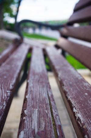 Bench in a city Park in the spring season, closeupの写真素材