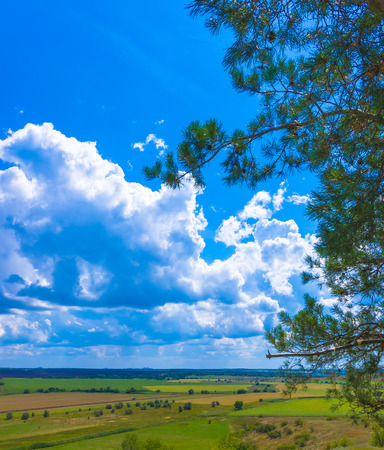 Summer landscape with green grass, village, fields and beautiful clouds, Donbassの写真素材