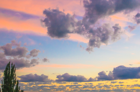 landscape with dramatic light - orange clouds and the outline of trees at sunsetの写真素材