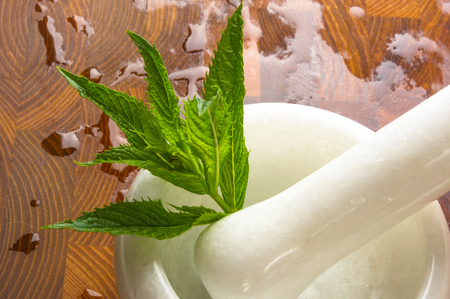 Fresh spearmint herb Mentha in the marble mortar with a pestle, on a wood backgroundの写真素材