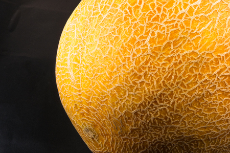 big ripe juicy melon on black backgroundの写真素材