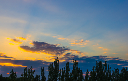 landscape with dramatic light - orange clouds and the outline of trees at sunsetの写真素材