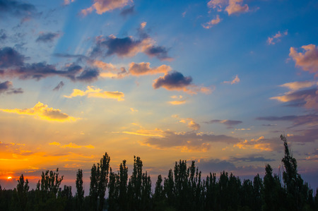 landscape with dramatic light - orange clouds and the outline of trees at sunsetの写真素材