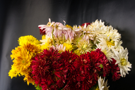 bouquet of colorful autumn flowers on a black backgroundの写真素材