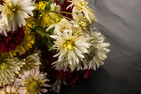 bouquet of colorful autumn flowers on a black backgroundの写真素材