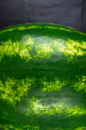 still life - ripe juicy watermelon on a black backgroundの写真素材