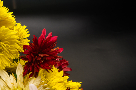 bouquet of colorful autumn flowers on a black backgroundの写真素材