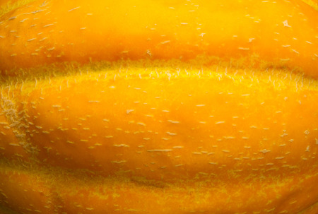 still life - ripe juicy Ethiopian melon on black backgroundの写真素材