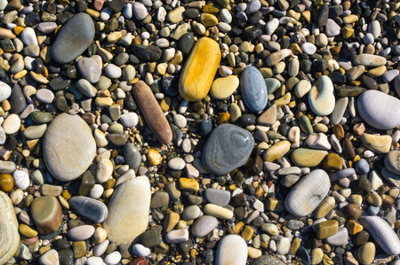 sea pebble beach with multicoloured stones, transparent waves with foam, on a warm summer dayの写真素材