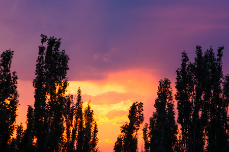 landscape with dramatic light - orange clouds and the outline of trees at sunsetの写真素材