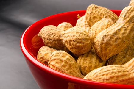Peanuts, Arachis hypogaea, in shell on dark background, close up, selective focus