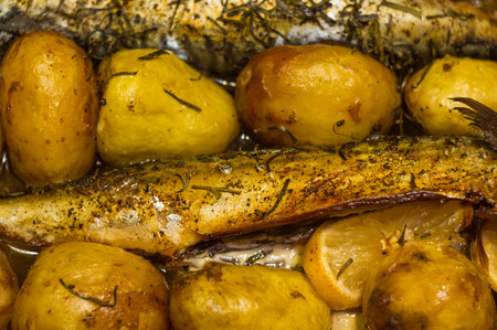 mackerel with potatoes and tarragon baked in the ovenの写真素材