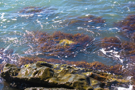 rocky sea shore with pebble beach, transparent waves with foam, on a warm summer dayの写真素材