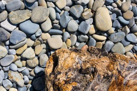 driftwood, washed up by the sea on a pebble beach on a warm summer dayの写真素材