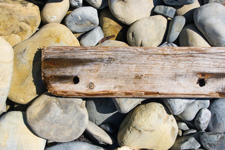 driftwood, washed up by the sea on a pebble beach on a warm summer dayの写真素材