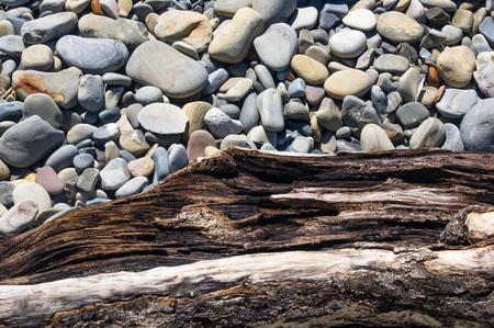 driftwood, washed up by the sea on a pebble beach on a warm summer dayの写真素材