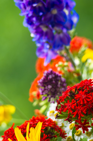 a colorful bouquet of bright spring flowers of various types, close-upの写真素材